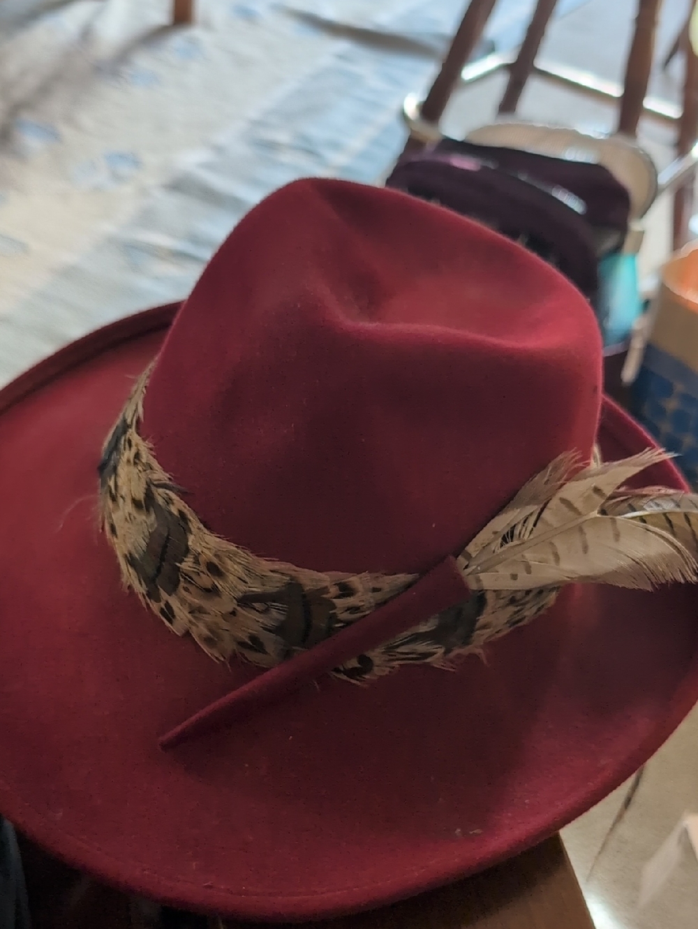 Women's Burgundy Wool Fedora Hat with Feather Band